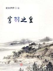 穹羽之皇