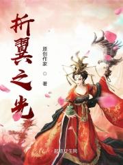 折翼之光