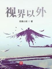 视界以外
