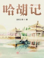哈胡记
