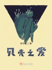 贝壳之爱