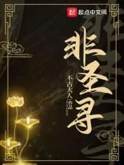 非圣寻