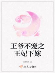 王爷不宠之王妃下嫁