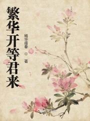 繁华开等君来