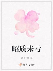 昭质未亏