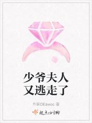 少爷夫人又逃走了