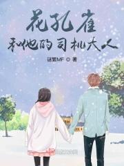 我的司机大人