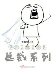 快穿之爆笑奇葩总裁系列