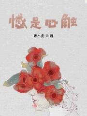 憾是心触