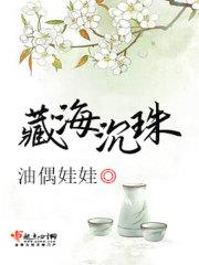 藏海沉珠