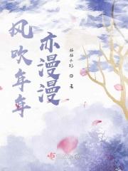 风吹年年亦漫漫