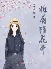 北有槿花开