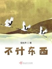 不计东西