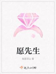 愿望先生