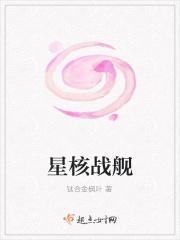 星核体