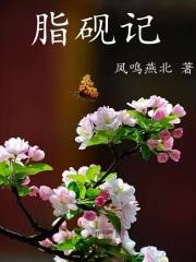 脂砚记