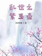 乱世之紫玉壶