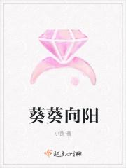 葵葵向阳