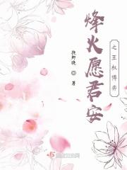 烽火愿君安之王权博弈