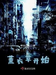 从薰衣草开始